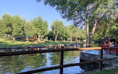 Baños de naturaleza en estado puro