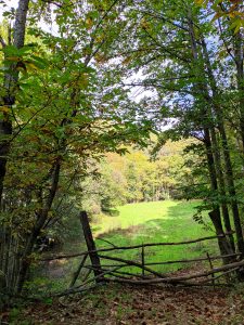 baños de naturaleza en estado puro